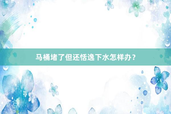 马桶堵了但还恬逸下水怎样办？