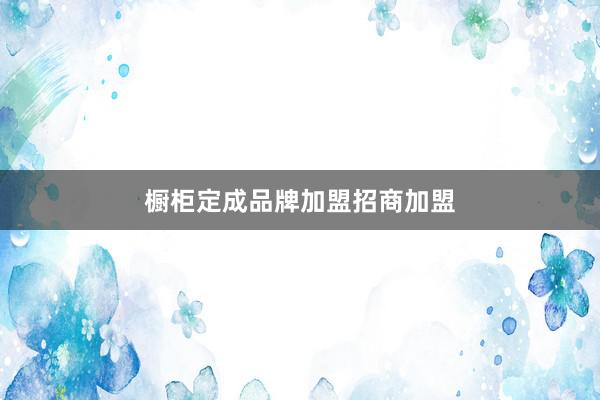 橱柜定成品牌加盟招商加盟