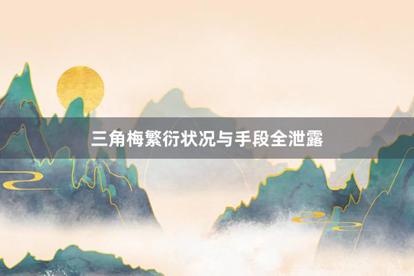 三角梅繁衍状况与手段全泄露
