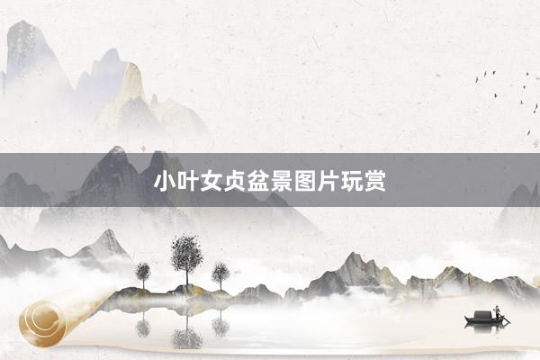 小叶女贞盆景图片玩赏